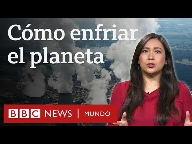 ¿Cómo contribuir para frenar el cambio climático?