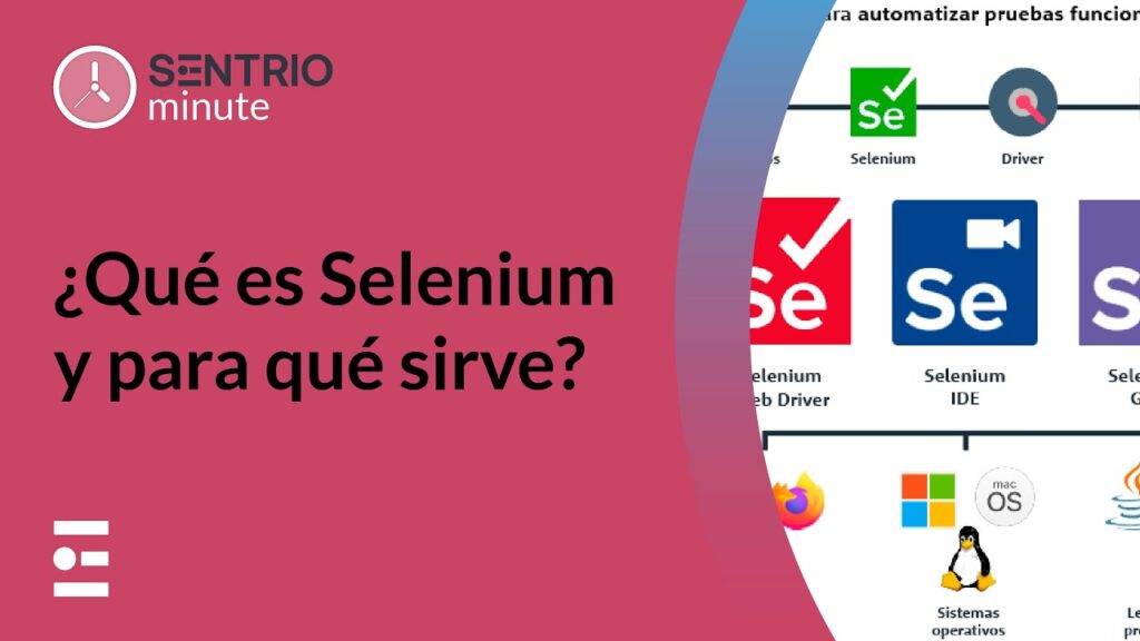 ¿Qué lenguaje de programación usa Selenium?