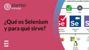 ¿Qué lenguaje de programación usa Selenium?